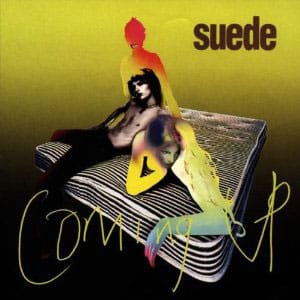 suede-coming-up