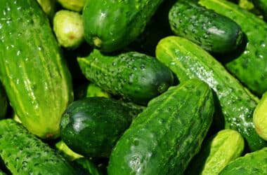 pepinos